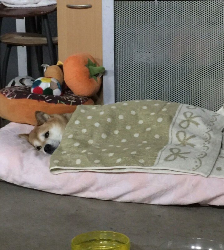*