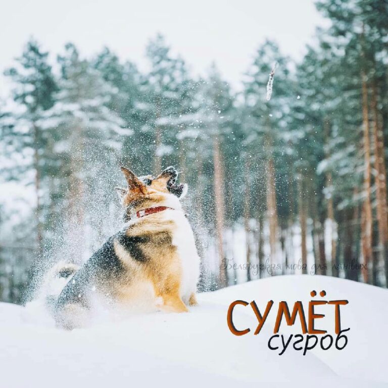 *