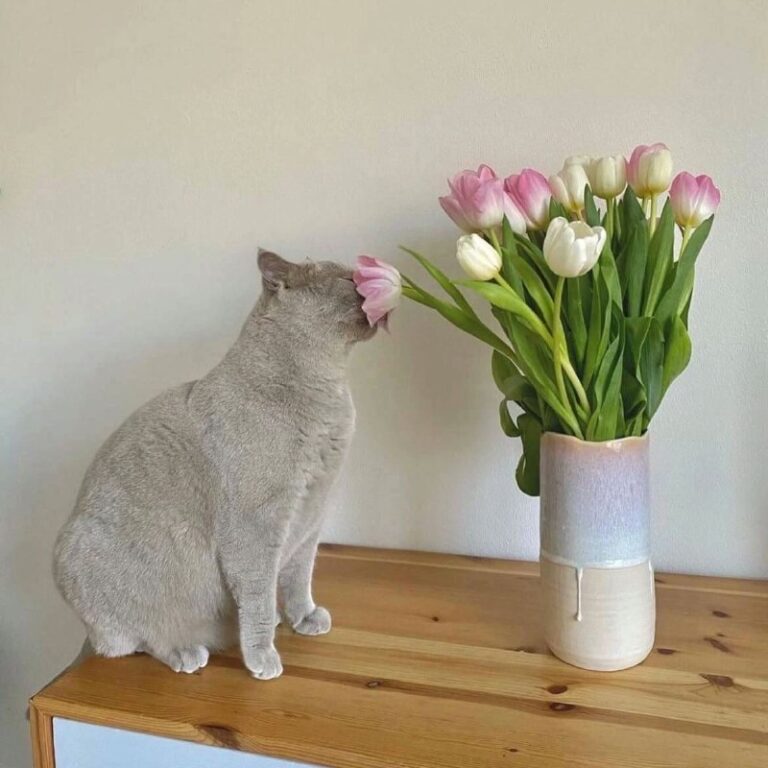 *