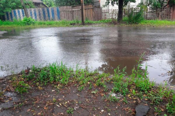 В нашем спонтанном конкурсе #ЛужиБобруйска на первое место вырывается участок улицы Володарского меж…