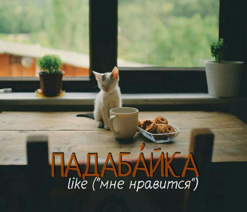 *