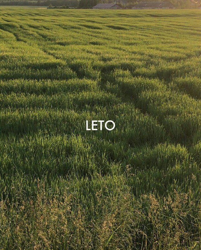 *