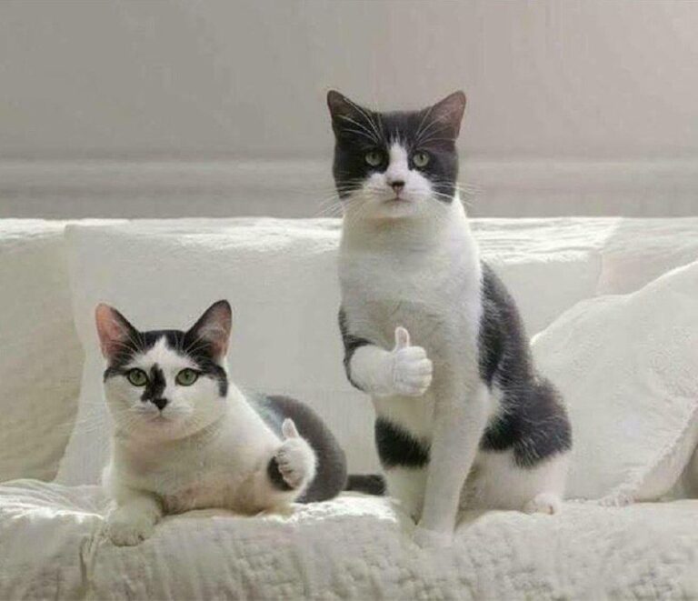 *