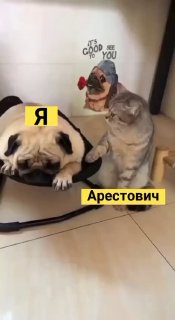 *