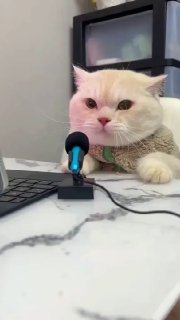 *