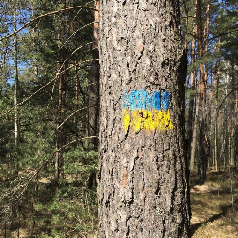 *