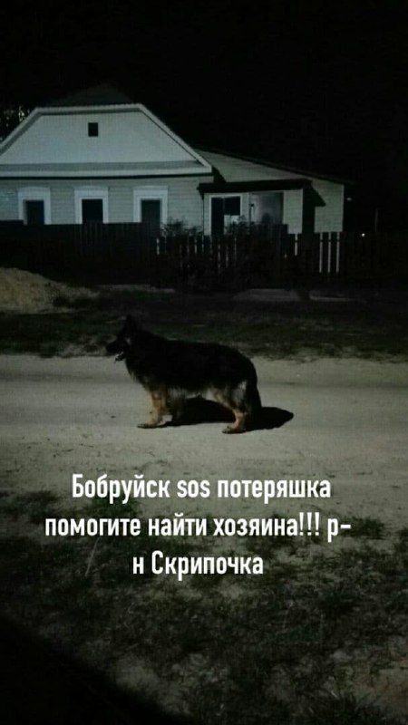 *