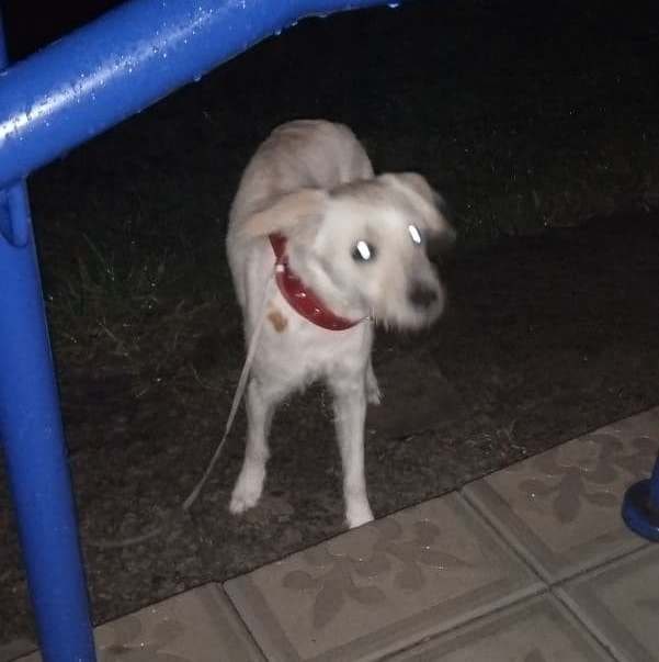 *