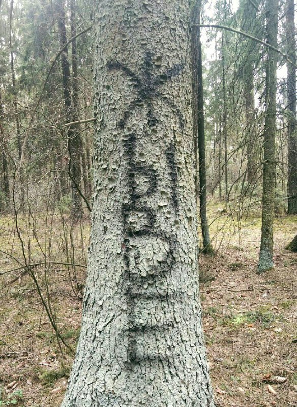 *