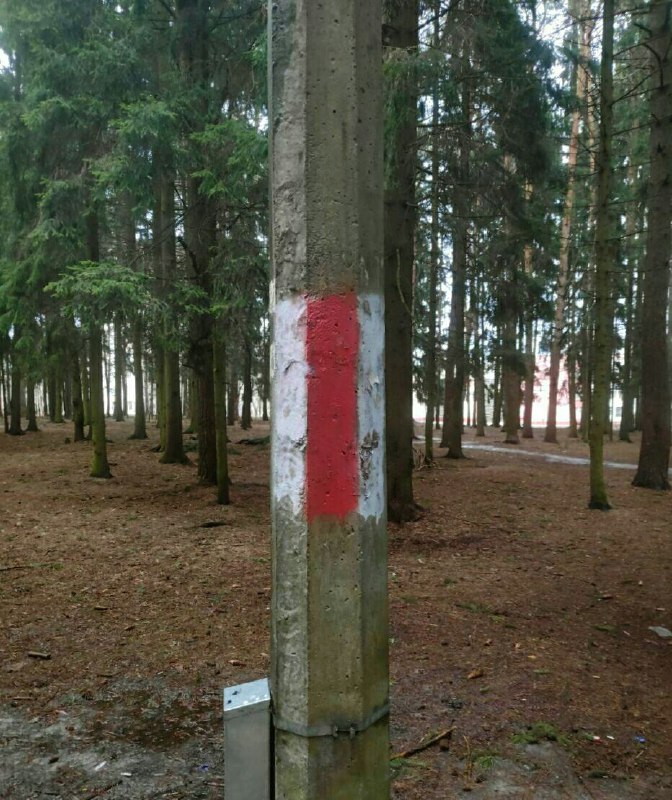 *