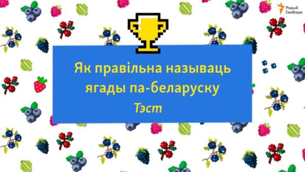 Ягады — і садовыя, і лясныя — аздабляюць беларускае лета. Іх любім мы, любілі вырошчваць і зьбіраць …