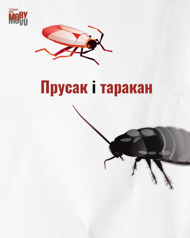 *